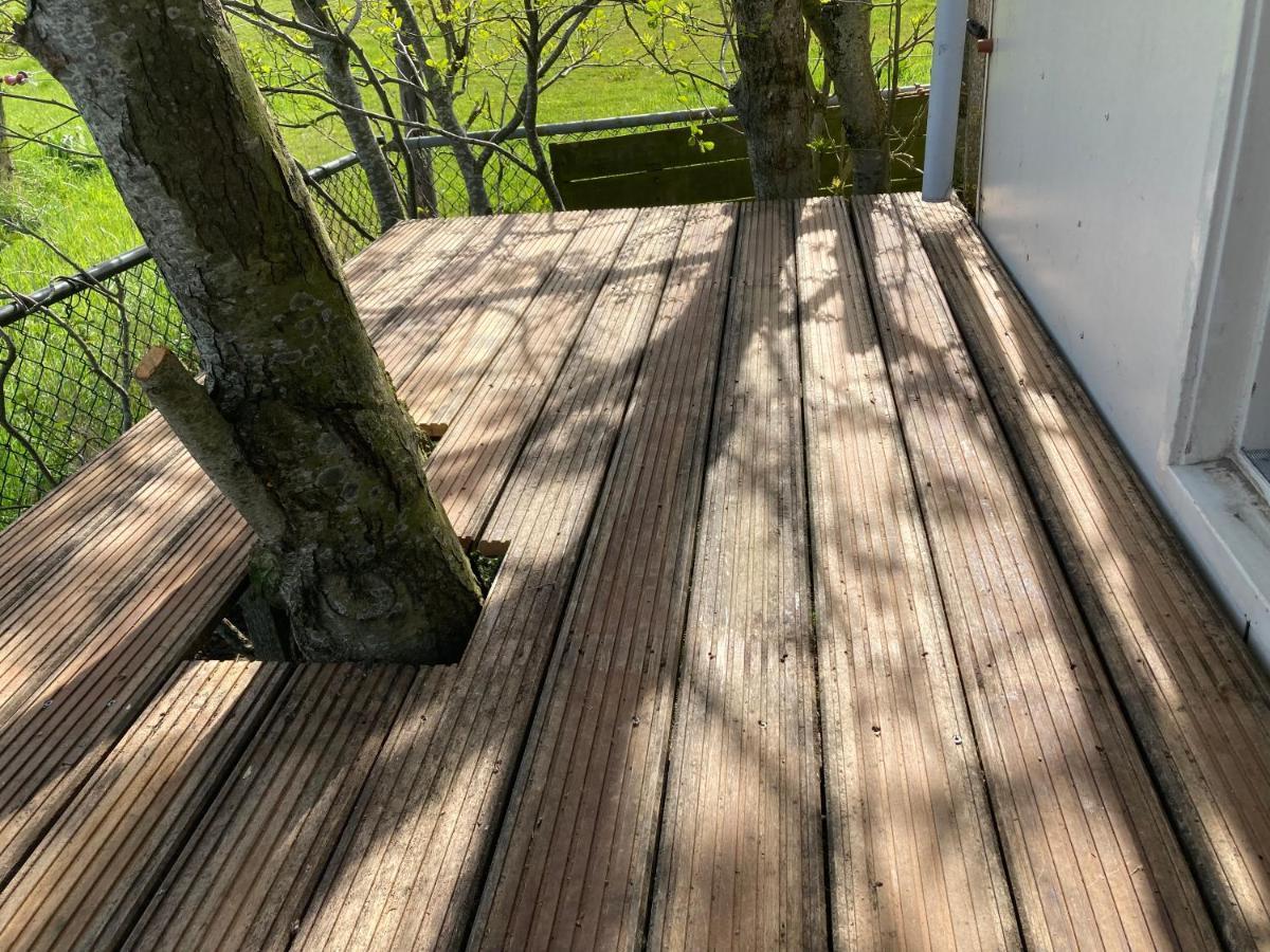 Het Oude Strandhuis Uitgeest Eksteriør billede